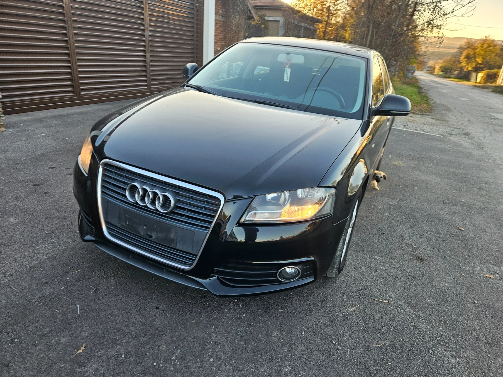 Audi A3 1.9tdi-105ks-2010god-S-lain-Euro5 | Mobile.bg   2