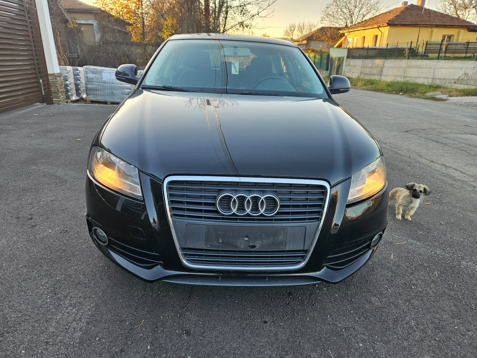 Audi A3 1.9tdi-105ks-2010god-S-lain-Euro5 | Mobile.bg   1