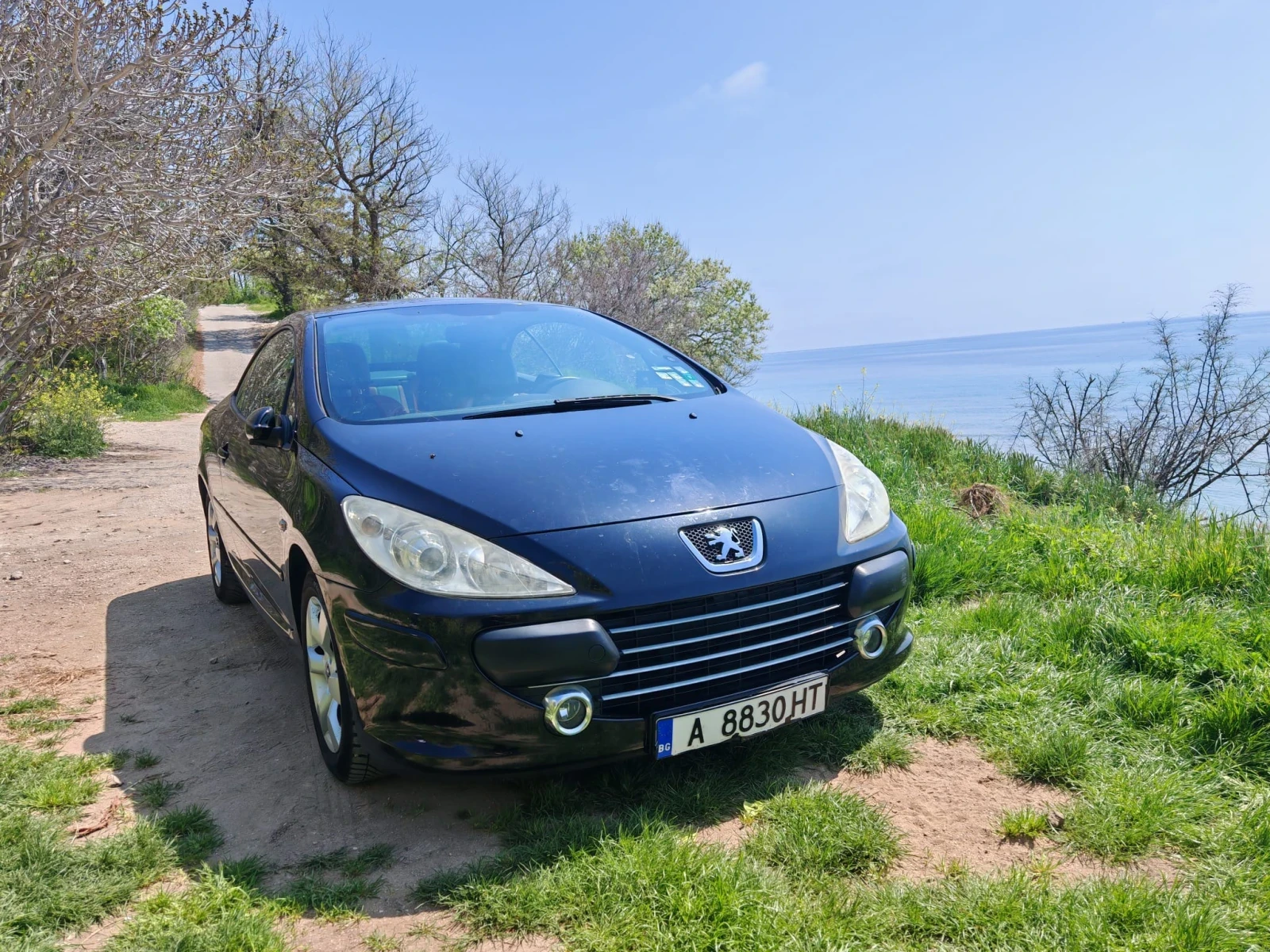 Peugeot 307
