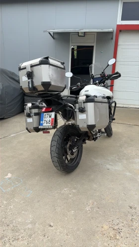 Triumph Tiger Tiger 900GT, снимка 3