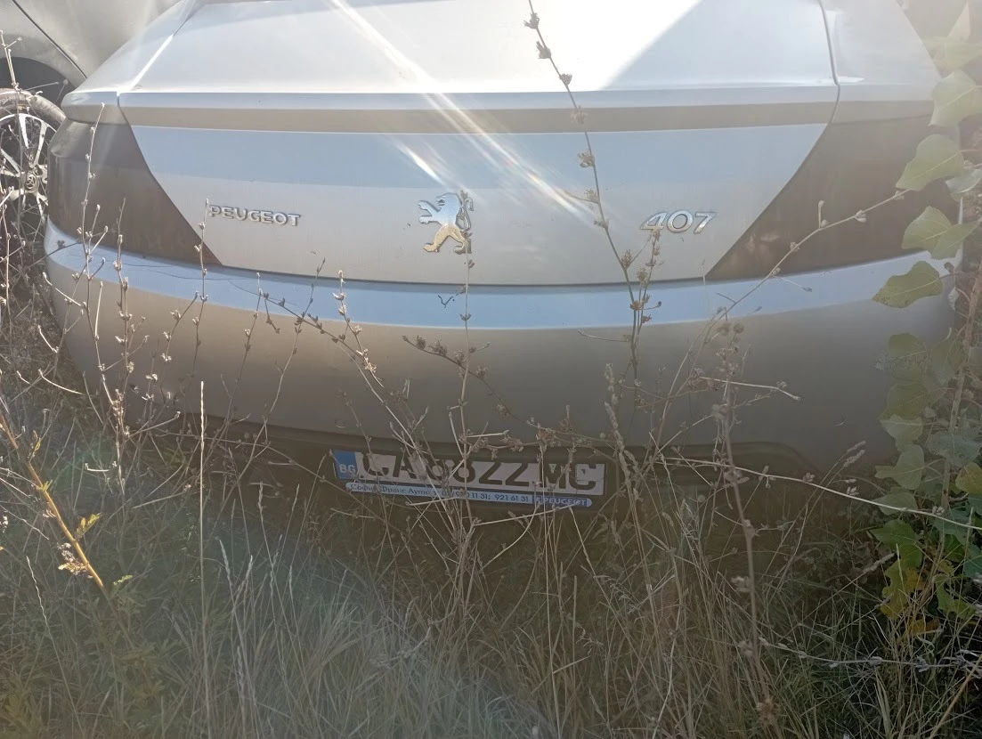 Peugeot 407 (2004-) 2.2    500      0884333261 | Mobile.bg   5