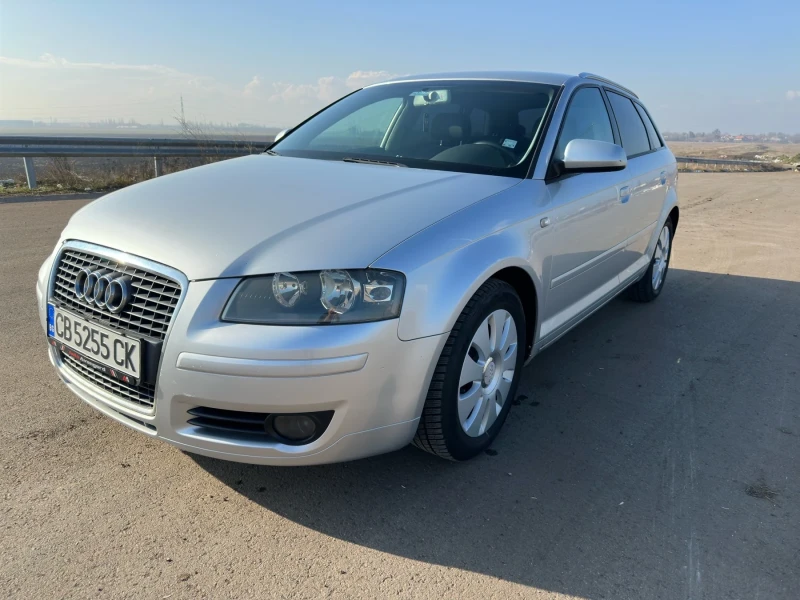 Audi A3 1.9 TDI, снимка 3 - Автомобили и джипове - 48909393