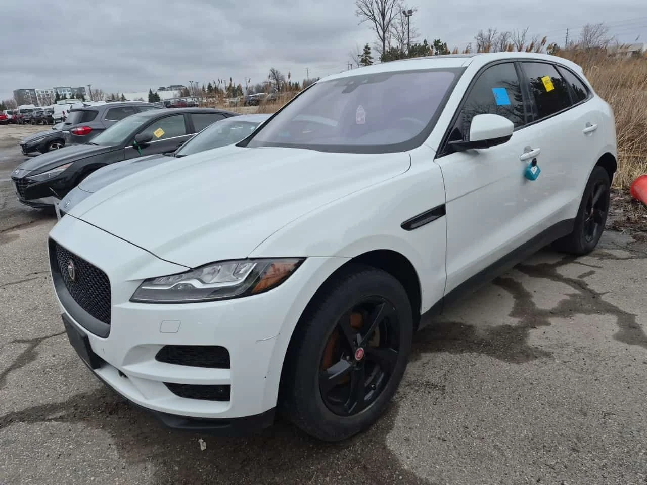 Jaguar F-PACE  | PRESTIGE | PANO | 360 | Keyless Go | MEMORY | 