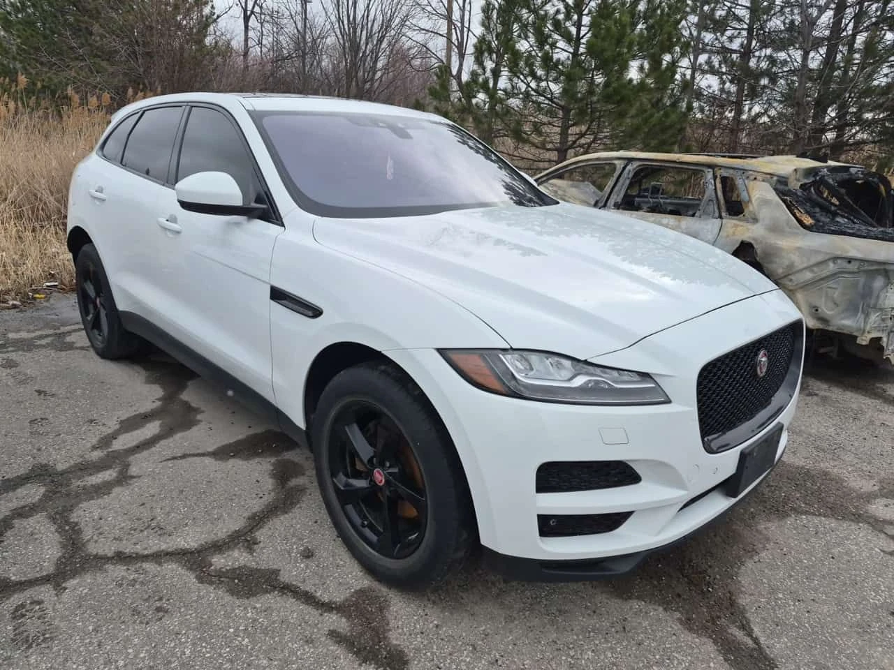 Jaguar F-PACE  | PRESTIGE | PANO | 360 | Keyless Go | MEMORY | , снимка 2 - Автомобили и джипове - 54125823