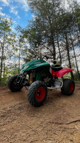 Dinli Centhor 450cc | Mobile.bg    2