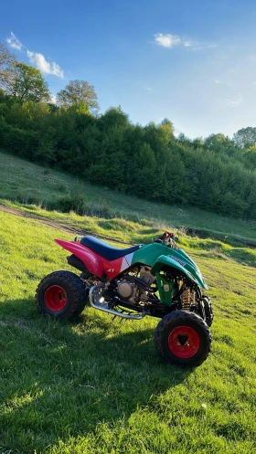 Dinli Centhor 450cc | Mobile.bg    3