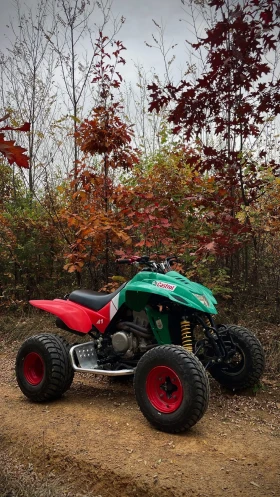 Dinli Centhor 450cc | Mobile.bg    5