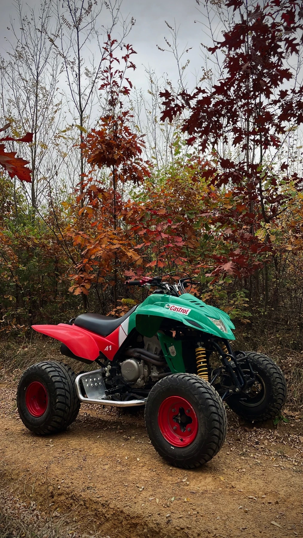 Dinli Centhor 450cc - изображение 5