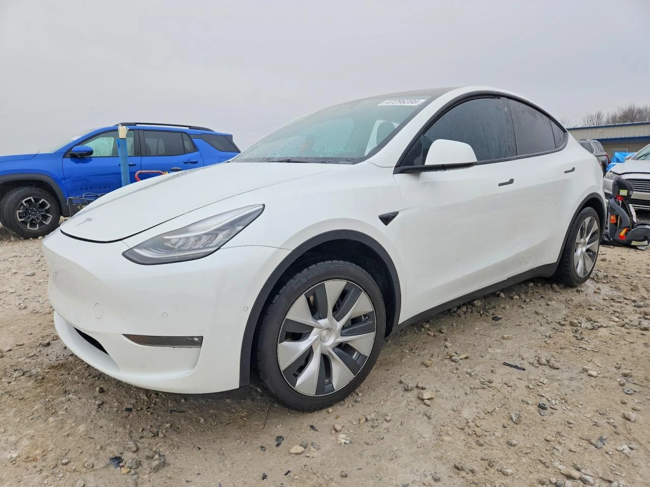 Tesla Model Y | Mobile.bg � ����������� 1