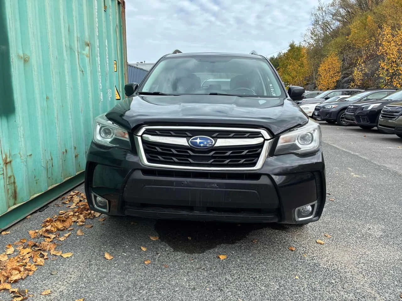 Subaru Forester * XT Limited * АВТОКРЕДИТ БЕЗ ПЪРВОНАЧАЛНА ВНОСКА*, снимка 6 - Автомобили и джипове - 54737994