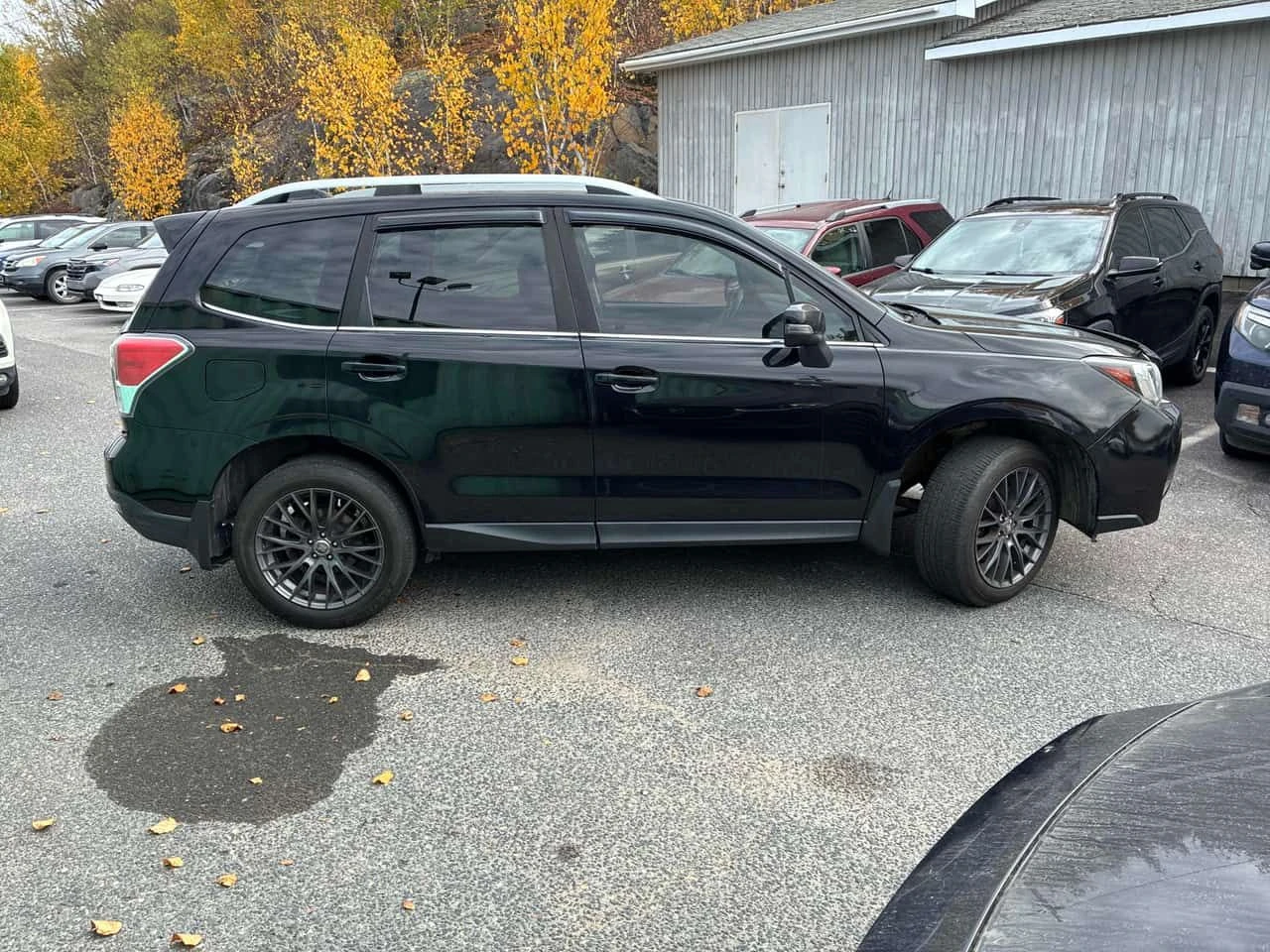 Subaru Forester * XT Limited * АВТОКРЕДИТ БЕЗ ПЪРВОНАЧАЛНА ВНОСКА*, снимка 3 - Автомобили и джипове - 54737994
