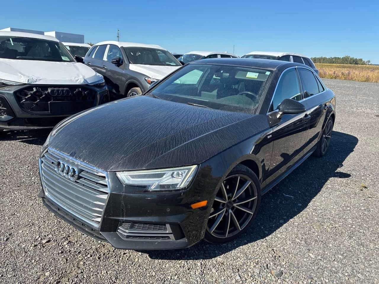 Audi A4 * Progressiv * CARFAX * ����� �� ����������� | Mobile.bg � ����������� 1