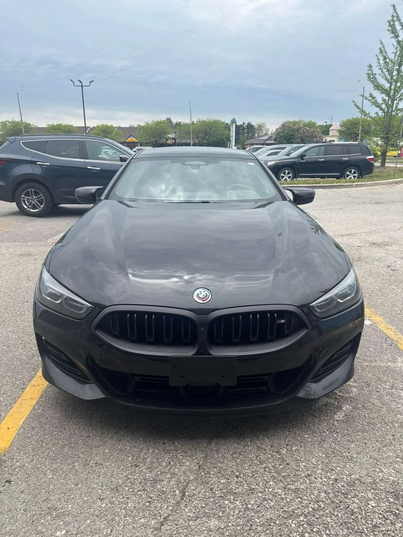 BMW 850 * БЕЗ ЗАБЕЛЕЖКИ * ПЕРФЕКТНА СЕРВИЗНА ИСТОРИЯ * , снимка 2 - Автомобили и джипове - 54723761