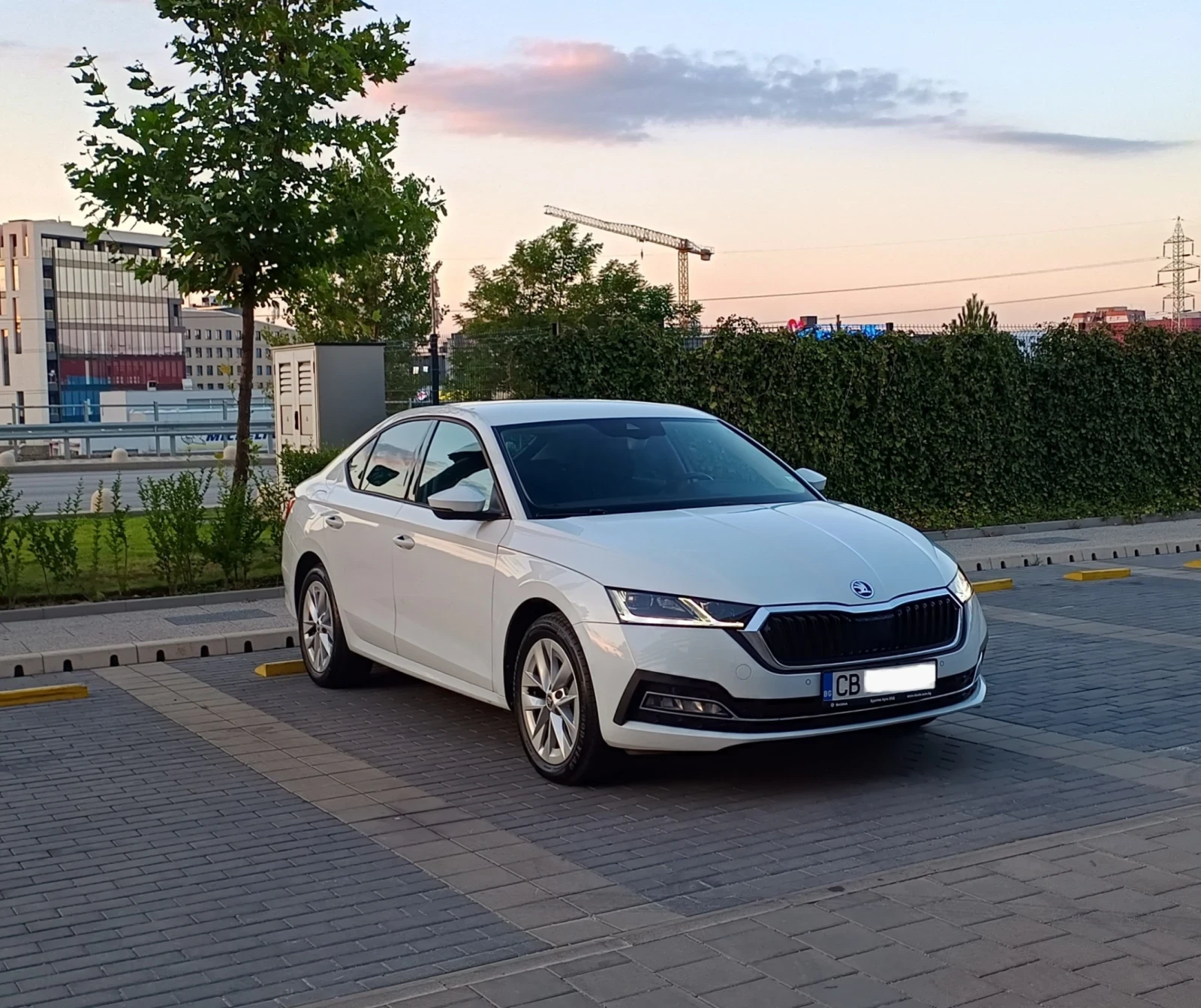 Skoda Octavia Edition  В лизинг  В гаранция - изображение 4