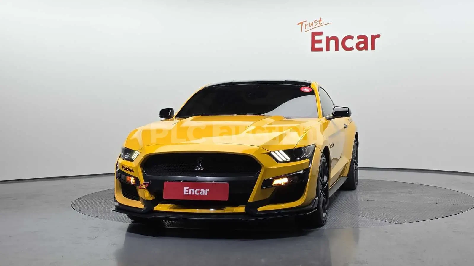 Ford Mustang Shelby Package, снимка 3 - Автомобили и джипове - 54108973