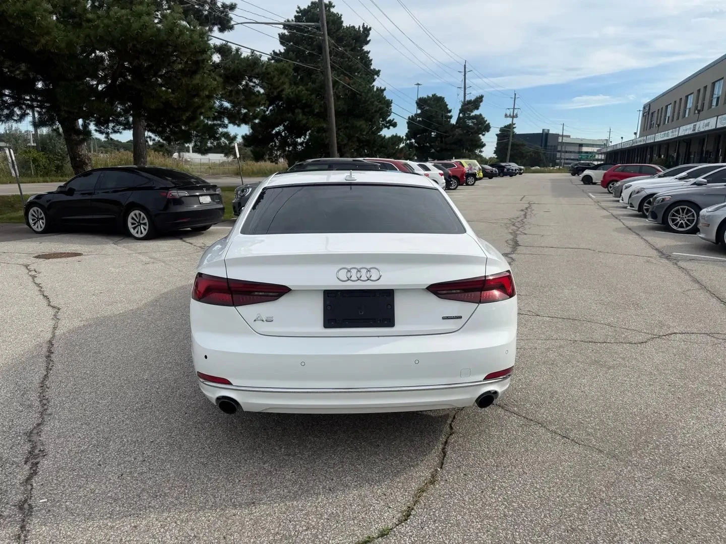 Audi A5 TECHNIK ���� �� �������� & ���������� | Mobile.bg � ����������� 7