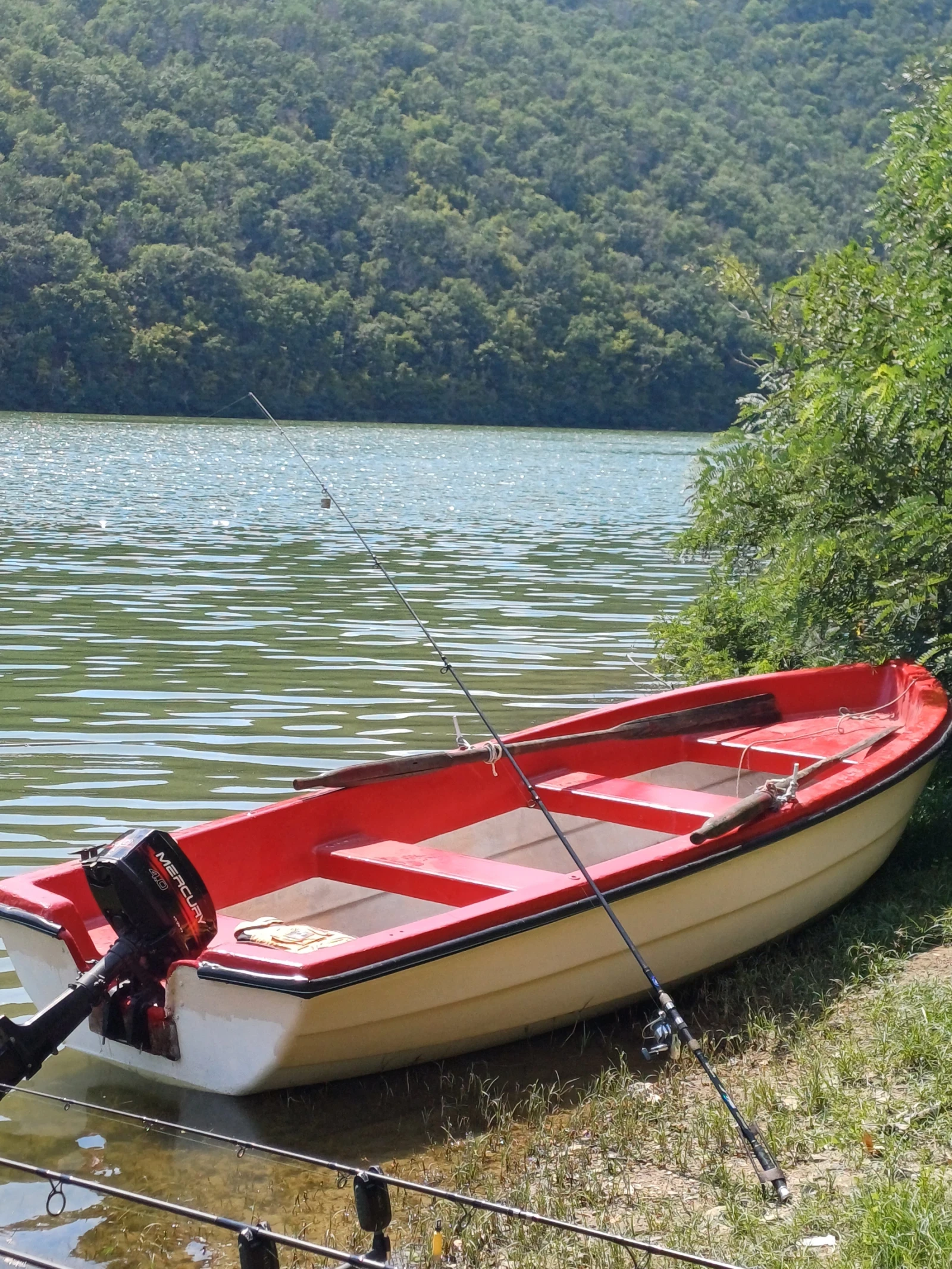 ����� Marino ��4 | Mobile.bg � ����������� 1