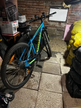 ��������� | Mobile.bg � ����� ������ 8