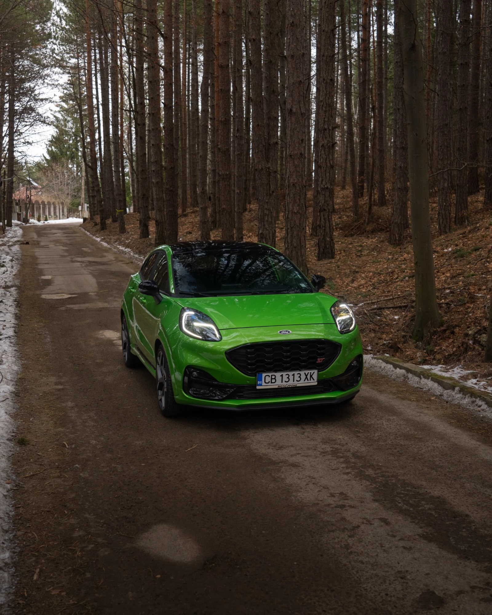 Ford Puma ST - изображение 2