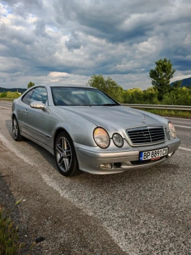 Mercedes-Benz CLK 2.3 Kompressor EVO | Mobile.bg    3