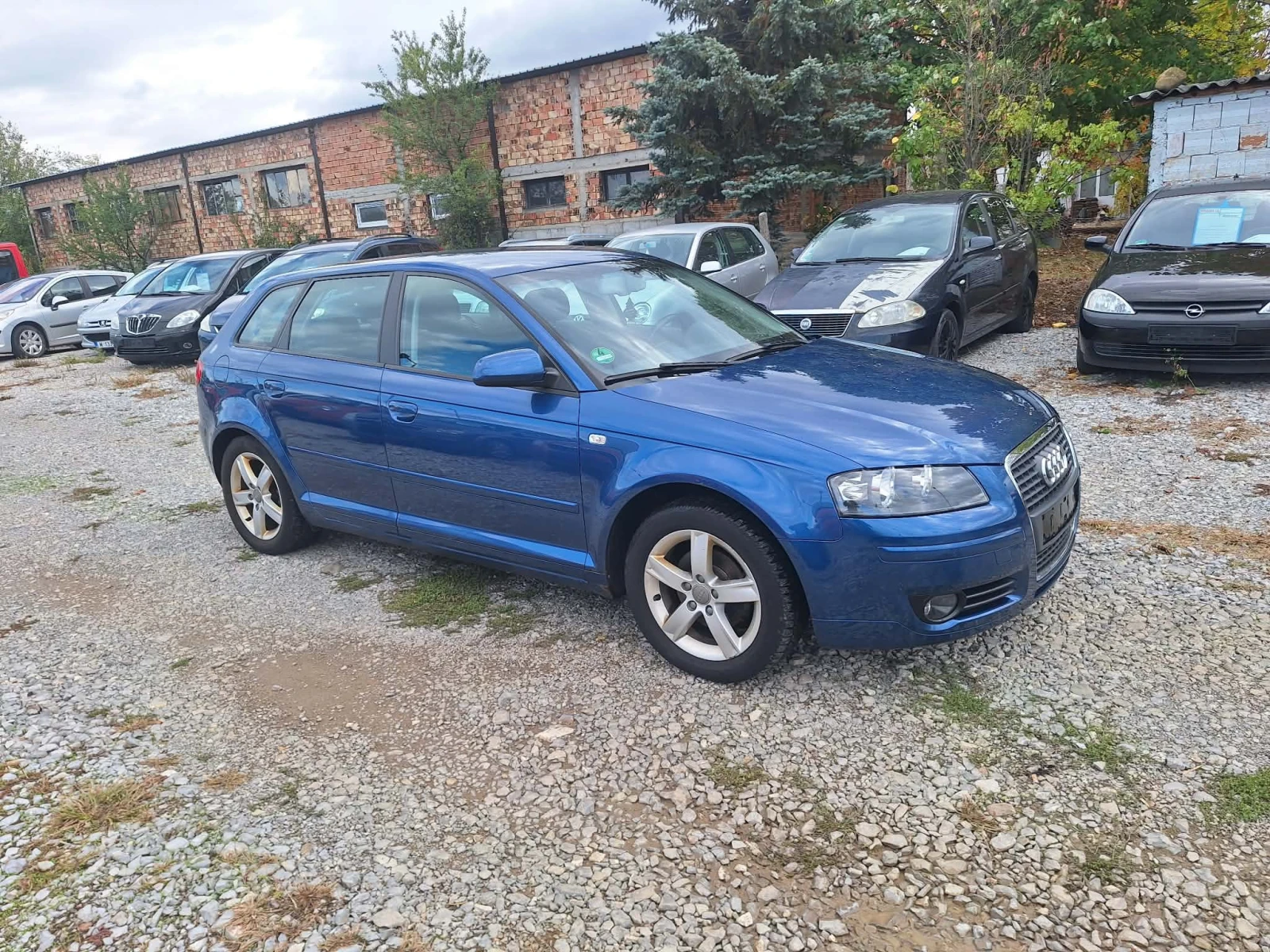 Audi A3 8P 1.6i