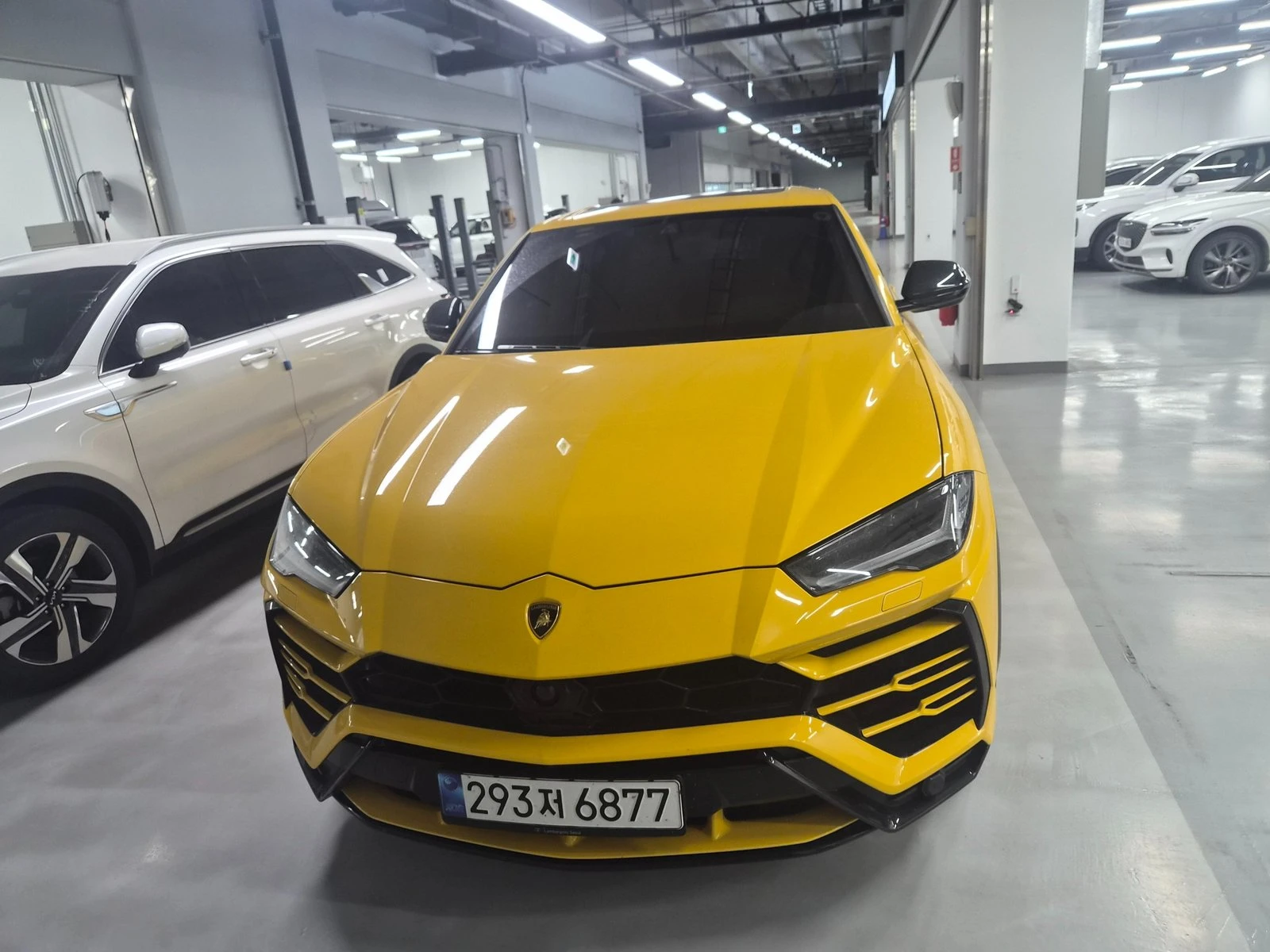 Lamborghini Urus КРАЙНА ЦЕНА