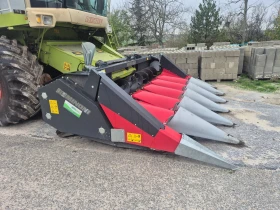 Хедер Dominoni, снимка 5