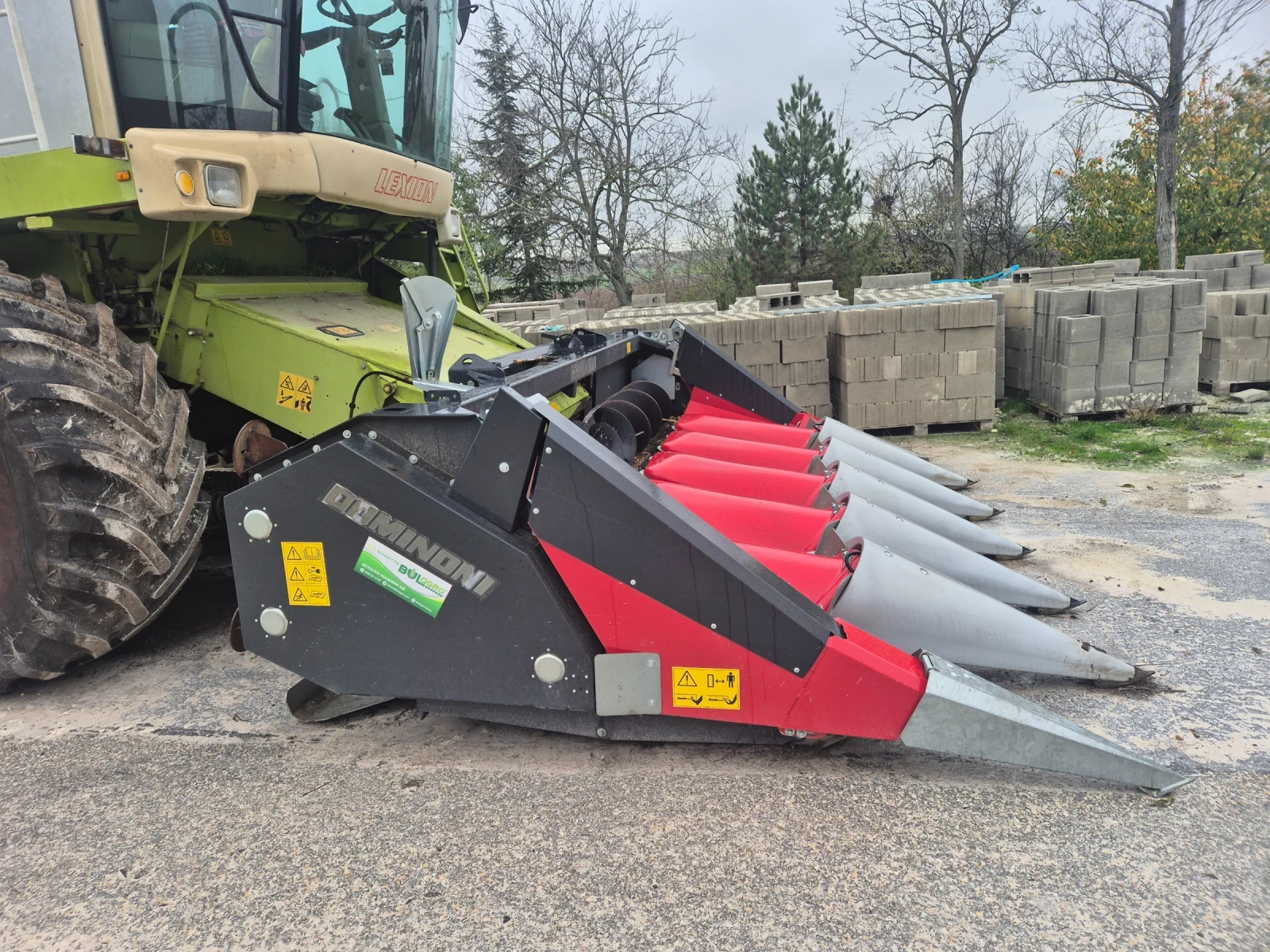 Хедер Dominoni  - изображение 2