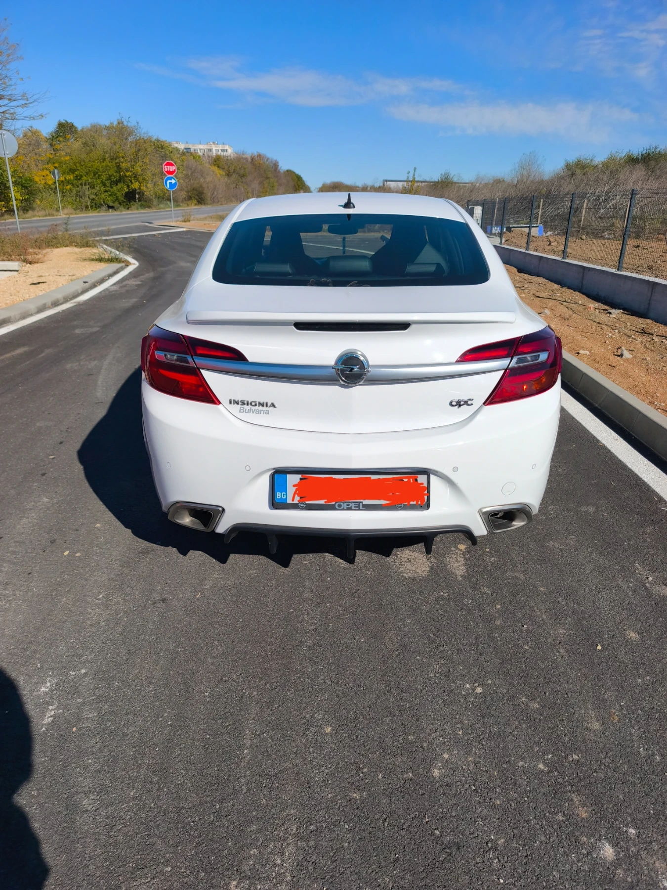 Opel Insignia OPC, снимка 3 - Автомобили и джипове - 56599957