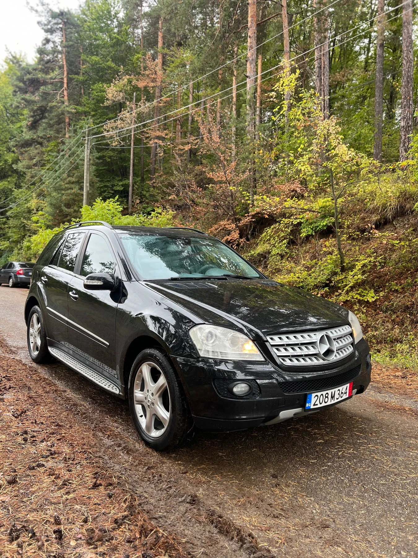 Mercedes-Benz ML 320 Sport/4х4/AMG/ТОП/, снимка 1