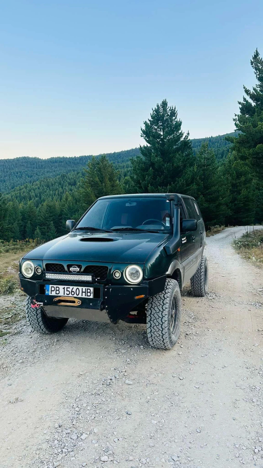 Nissan Terrano, снимка 1