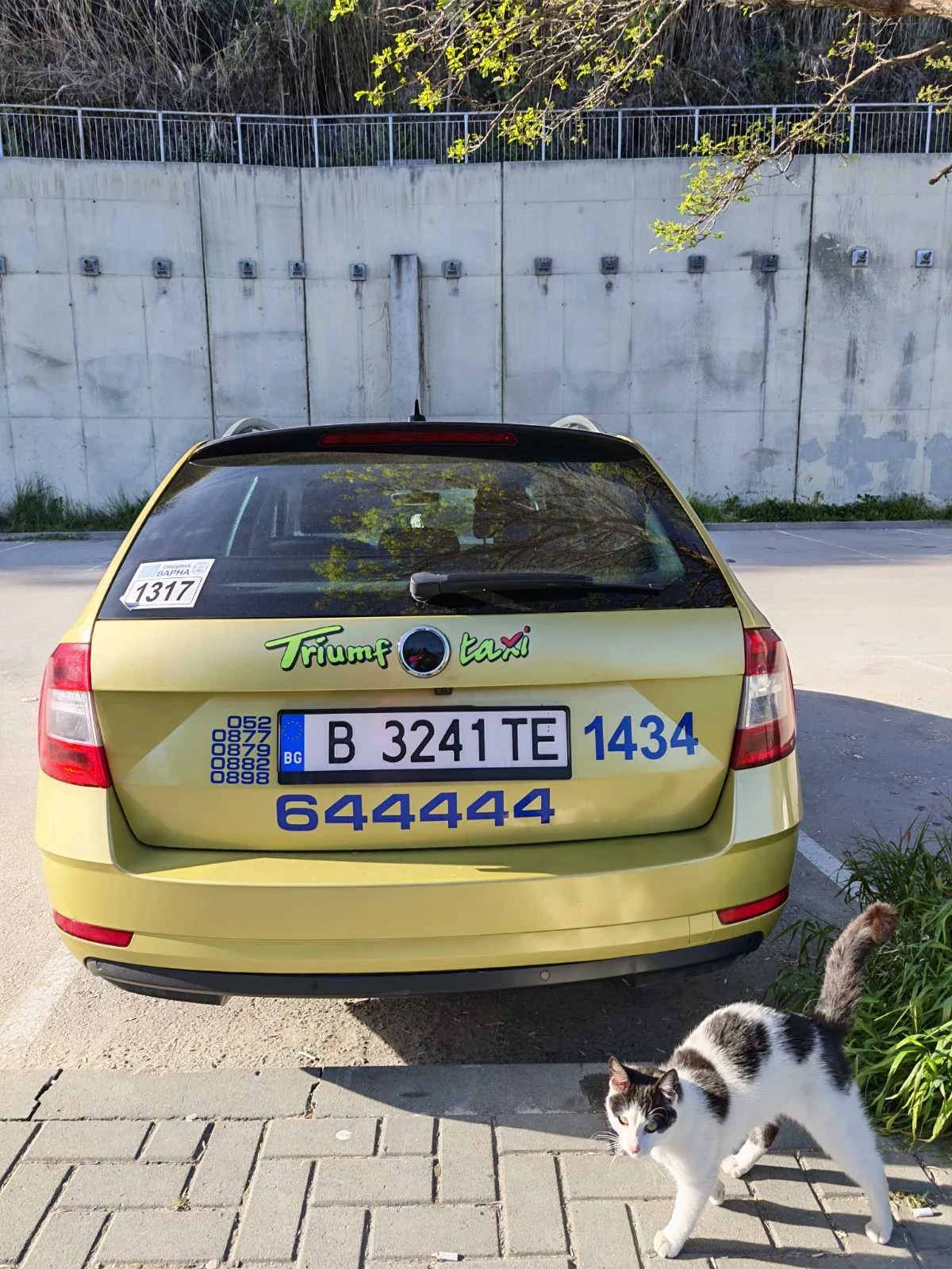 Skoda Octavia 1.6TDI, снимка 5 - Автомобили и джипове - 54354156