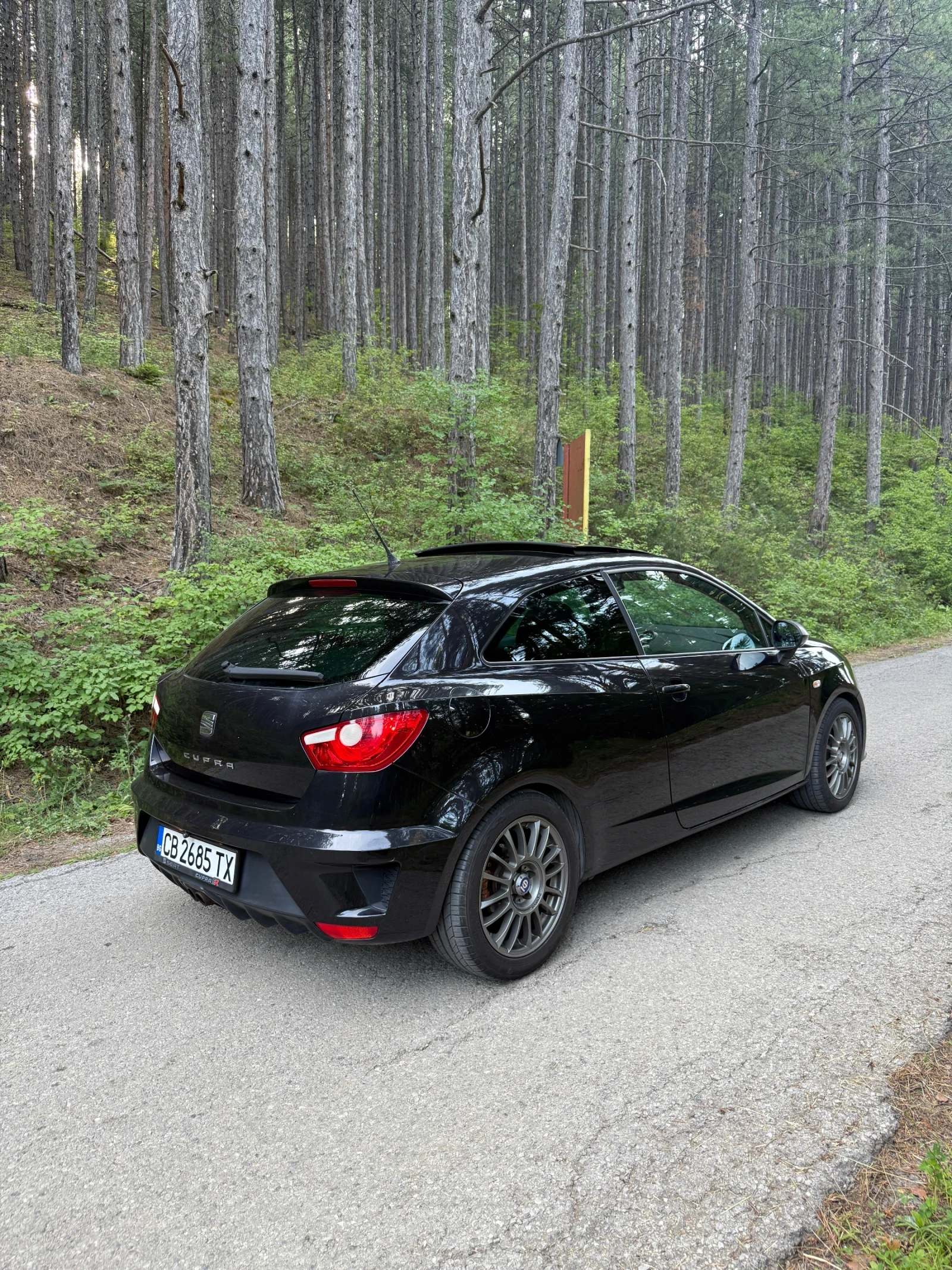 Seat Ibiza Cupra 1.4 TSI, снимка 5 - Автомобили и джипове - 55430549