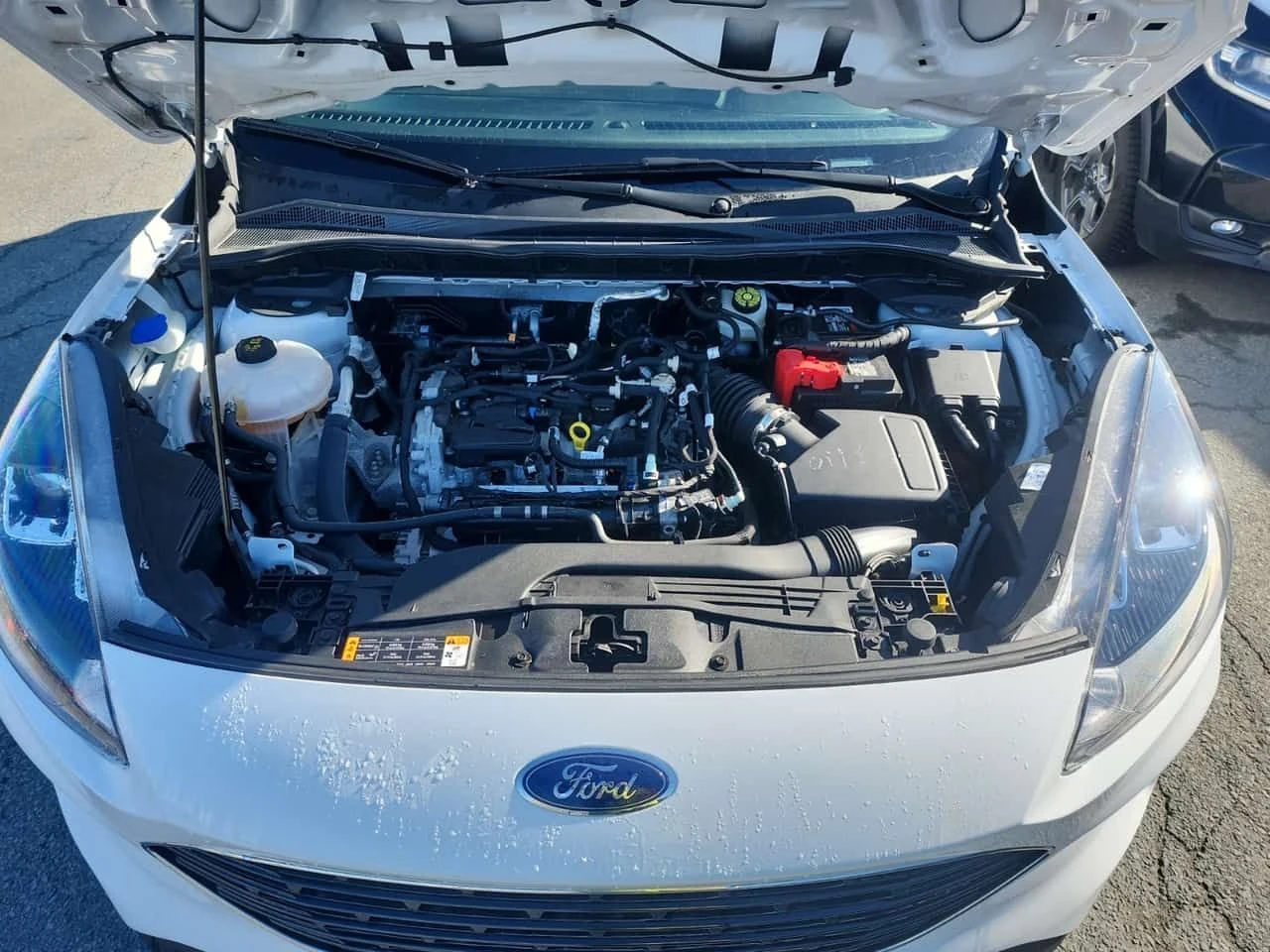 Ford Escape SE| ��������| ������ �����| CARFAX|  | Mobile.bg � ����������� 7