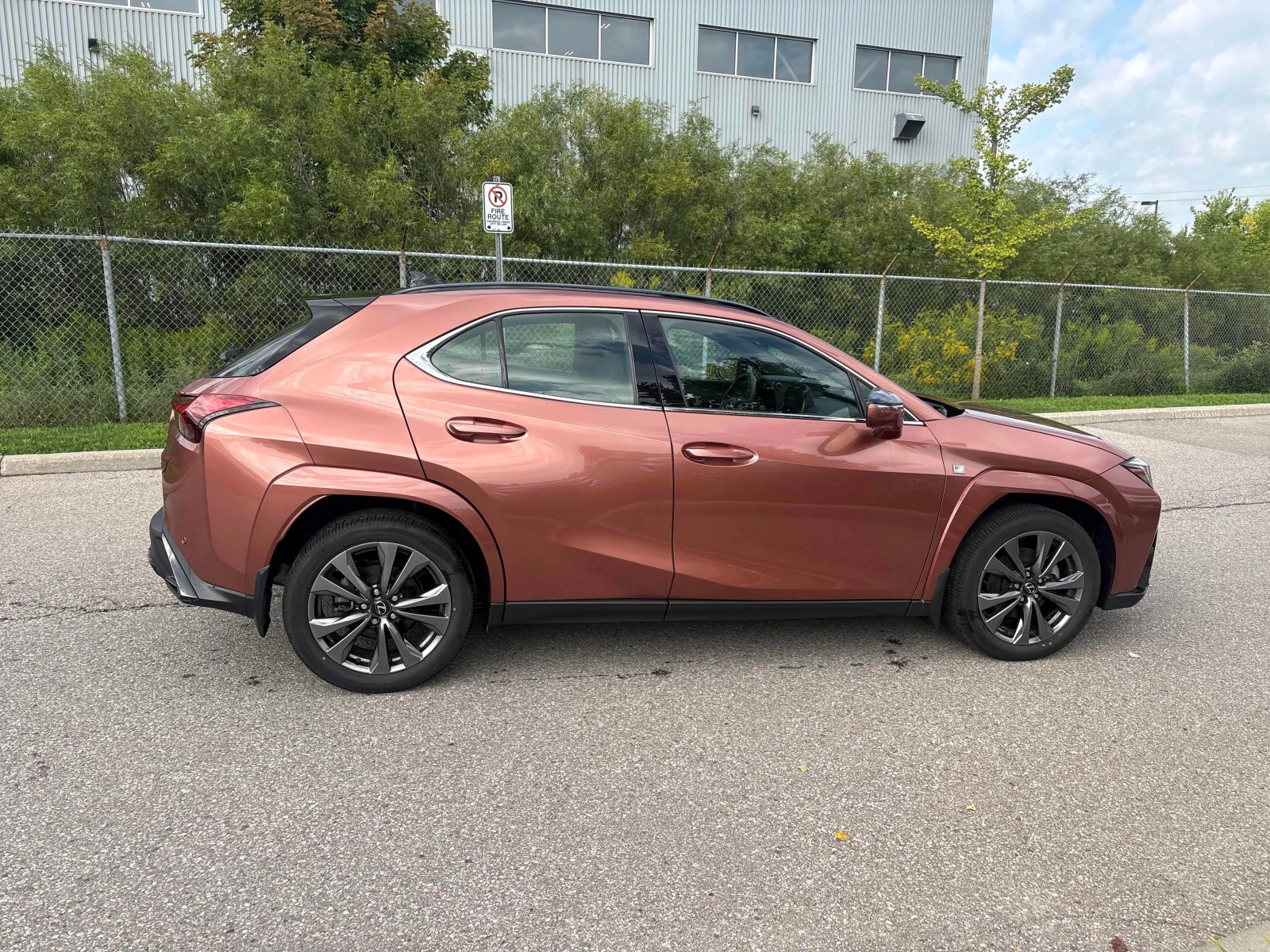 Lexus UX 300h  F-SPORT / ОБДУХВАНЕ / HUD / PANO , снимка 4 - Автомобили и джипове - 55951505