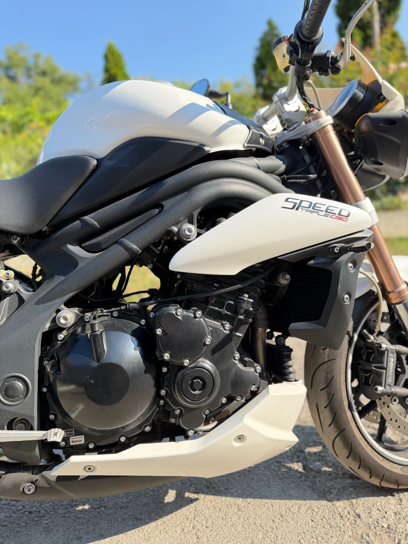 Triumph Speed Triple 1050 ABS Swiss | Mobile.bg � ����������� 4