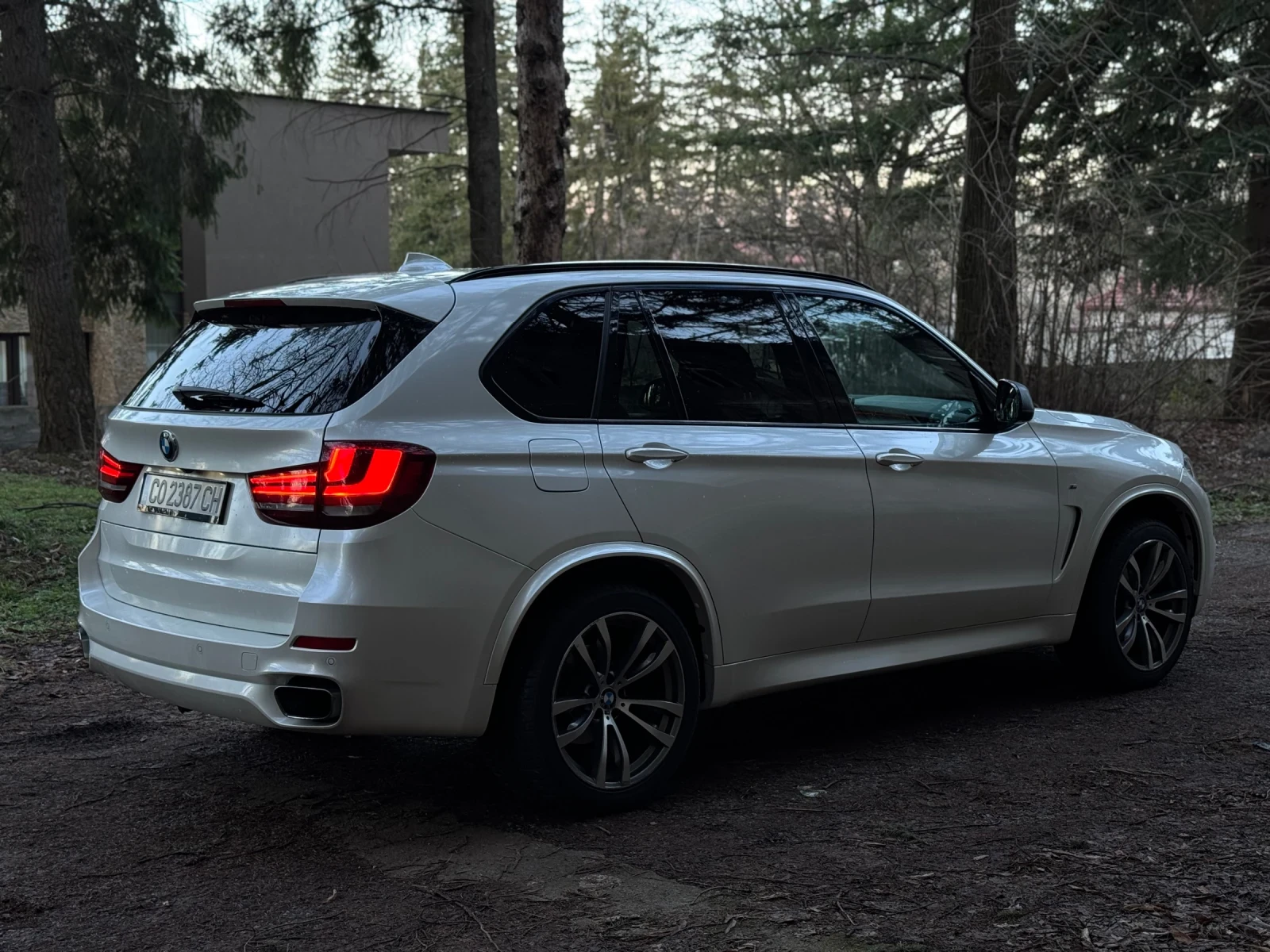 BMW X5  - изображение 5