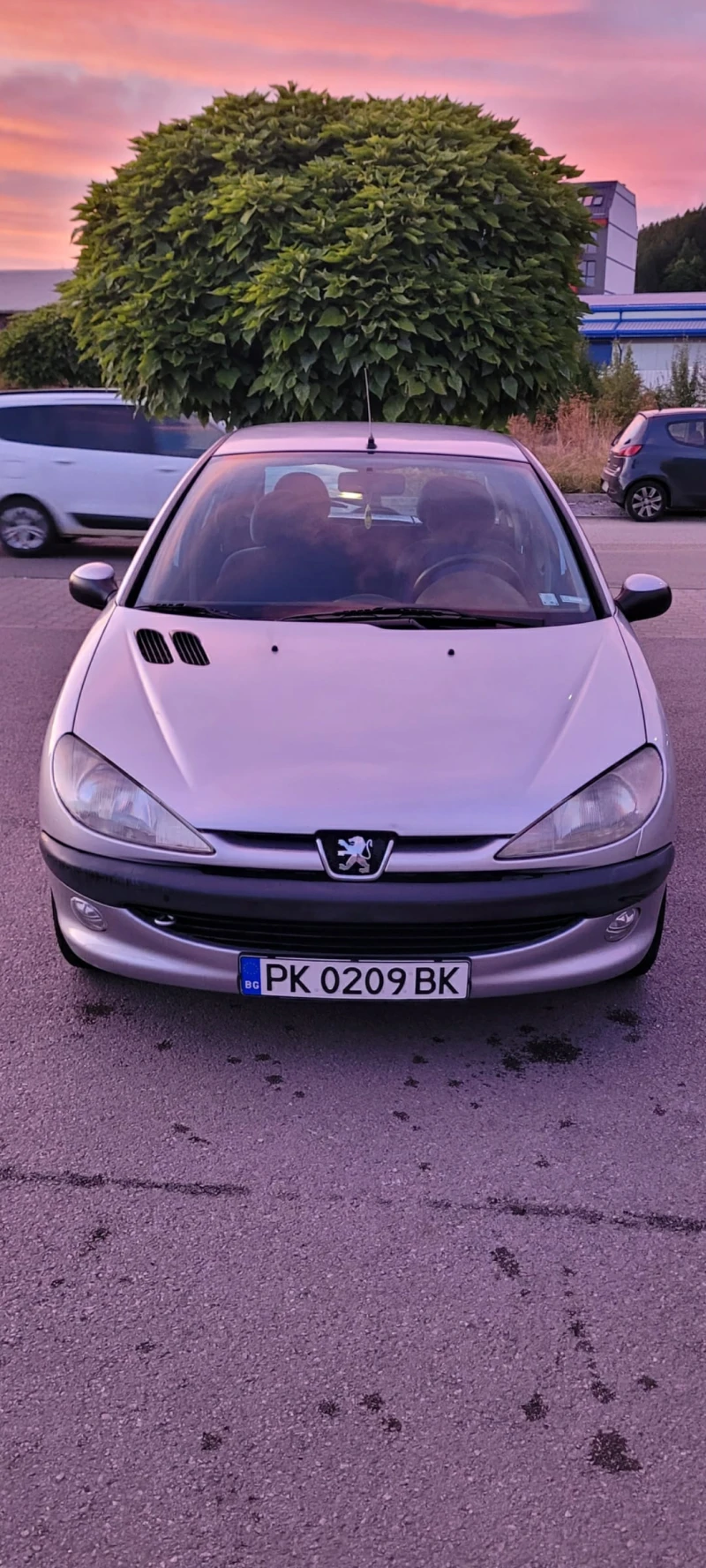Peugeot 206, снимка 2 - Автомобили и джипове - 52133001