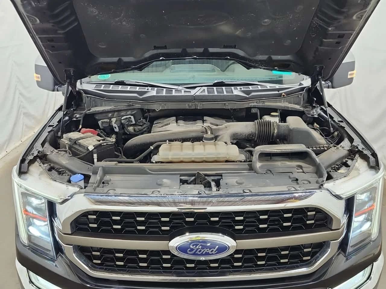 Ford F150 * KING RANCH CREW CAB STD BED * CARFAX * , снимка 17 - Автомобили и джипове - 55349978
