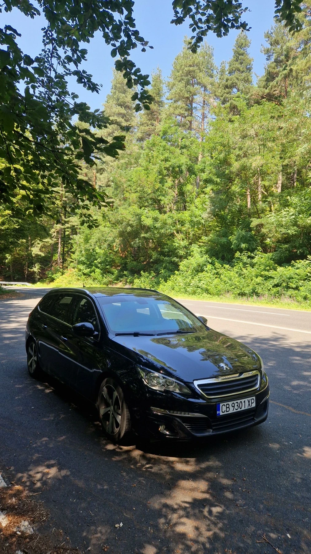 Peugeot 308 1.6BlueHadi , 120, снимка 15 - Автомобили и джипове - 56230078