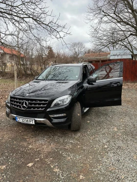 Mercedes-Benz ML 350 3.5 bluetech, снимка 1