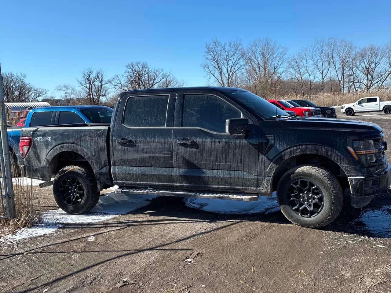 Ford F150 * XLT * CARFAX * KEYLESS * ��� ����� | Mobile.bg � ����������� 3