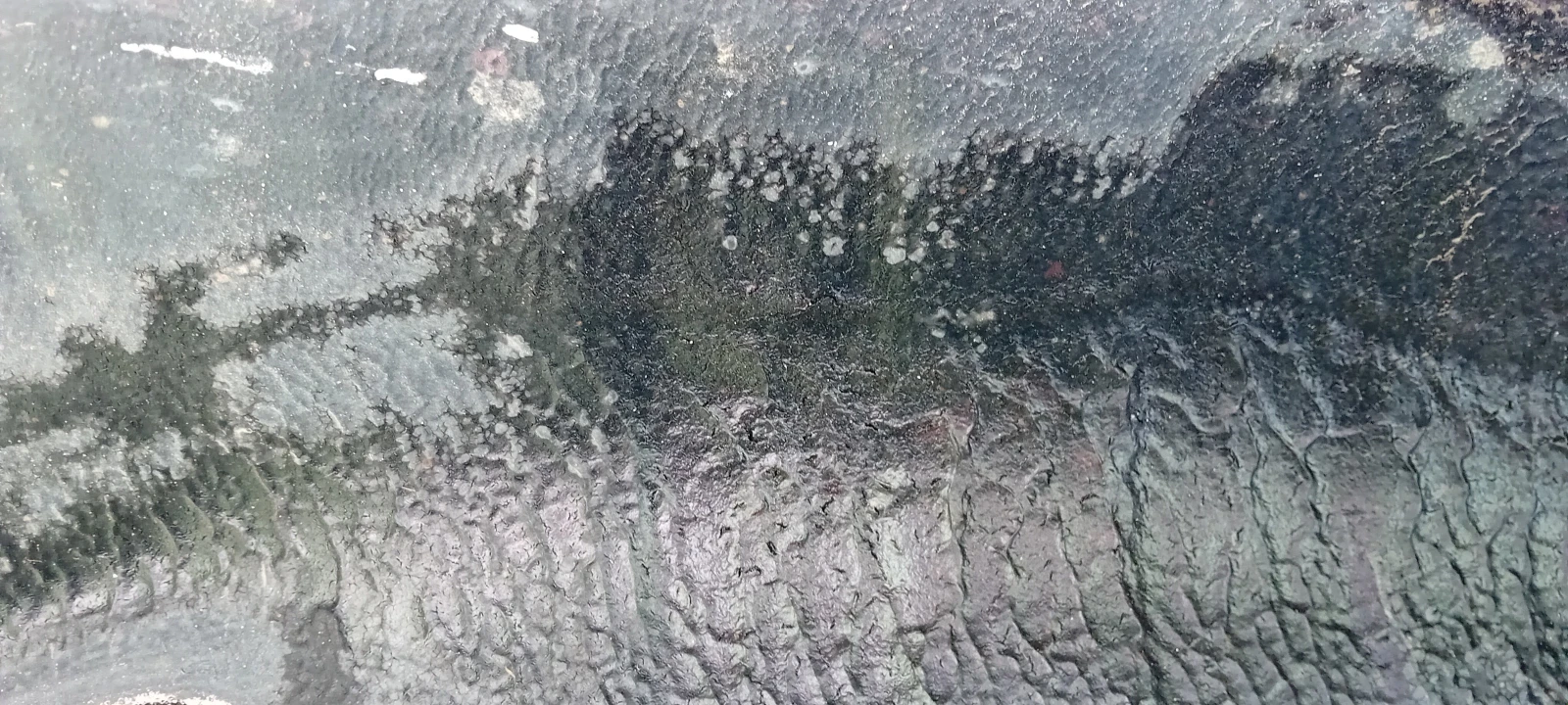 Nissan Terrano, снимка 7 - Автомобили и джипове - 54222834