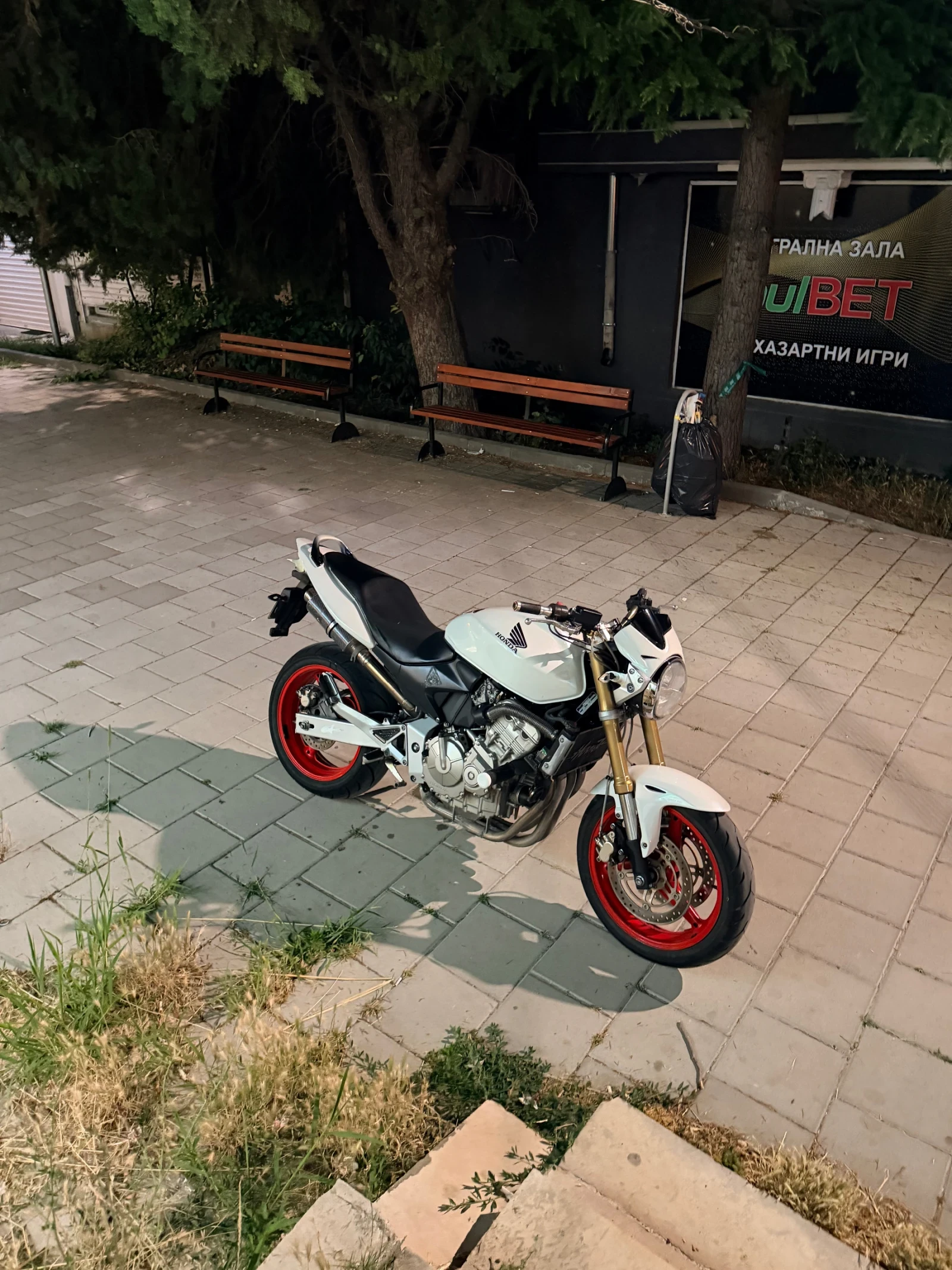 Honda Hornet 600