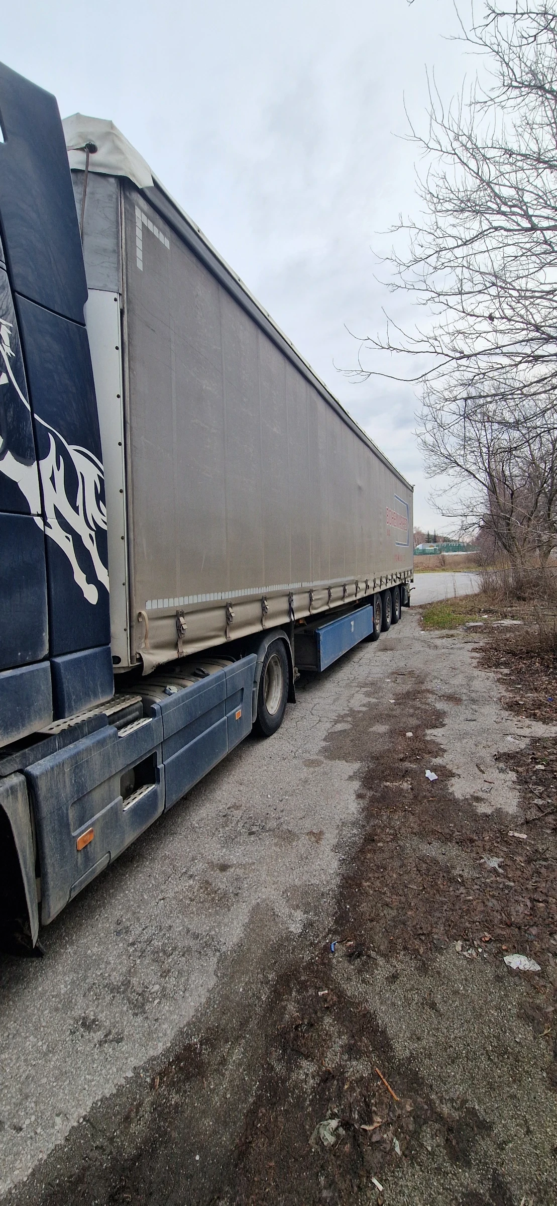 ����������� Schmitz | Mobile.bg � ����������� 1