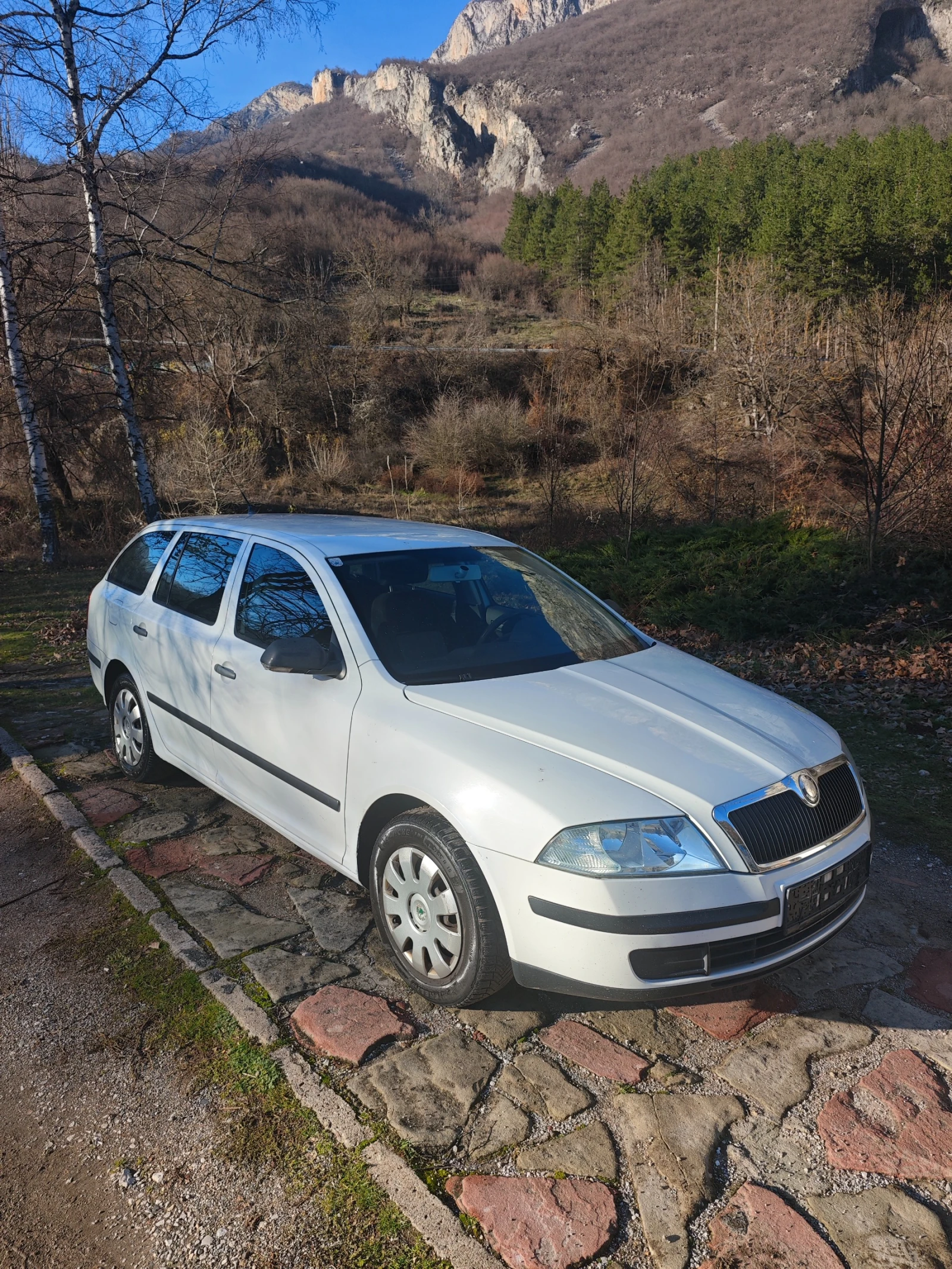 Skoda Octavia 1.9TDI 105 | Mobile.bg   1