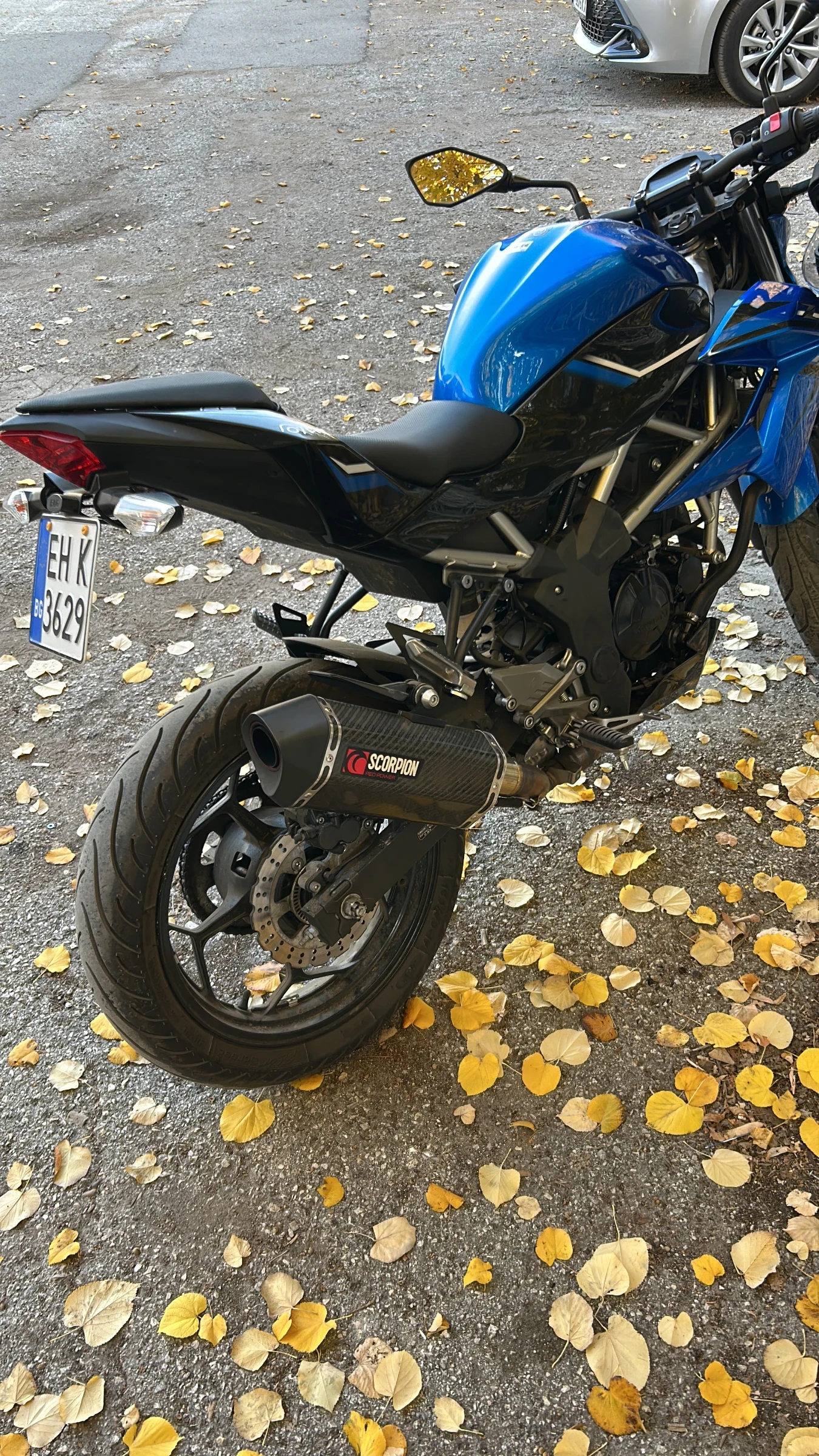 Kawasaki Z  - изображение 2