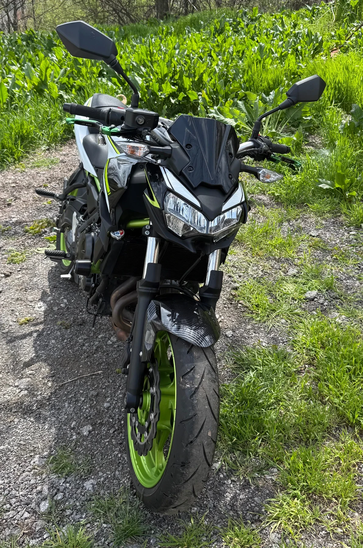 Kawasaki Z, снимка 11 - Мотоциклети и мототехника - 54180300