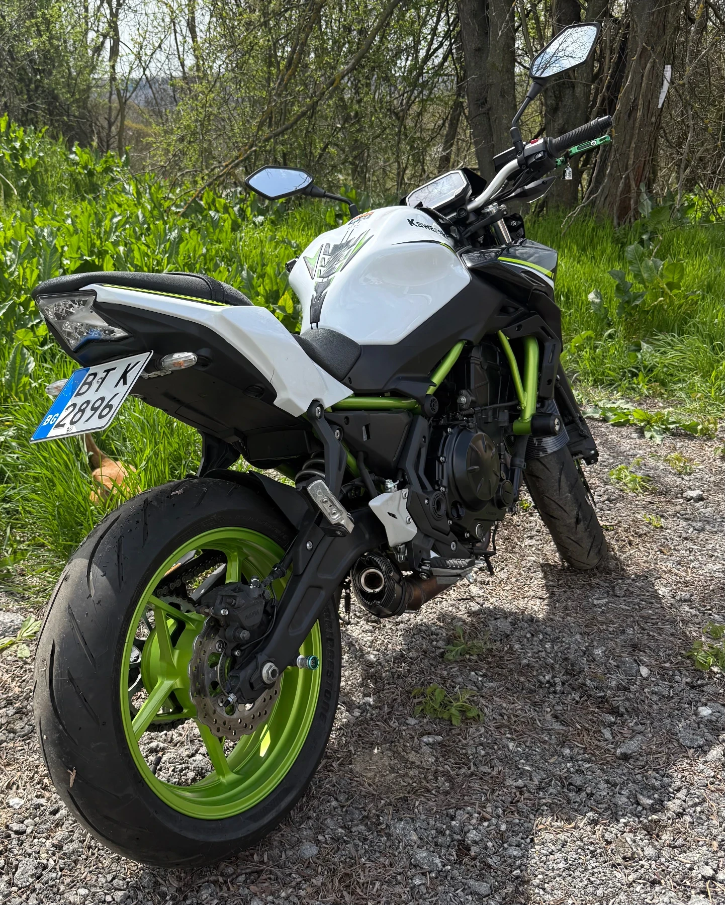 Kawasaki Z, снимка 7 - Мотоциклети и мототехника - 54180300