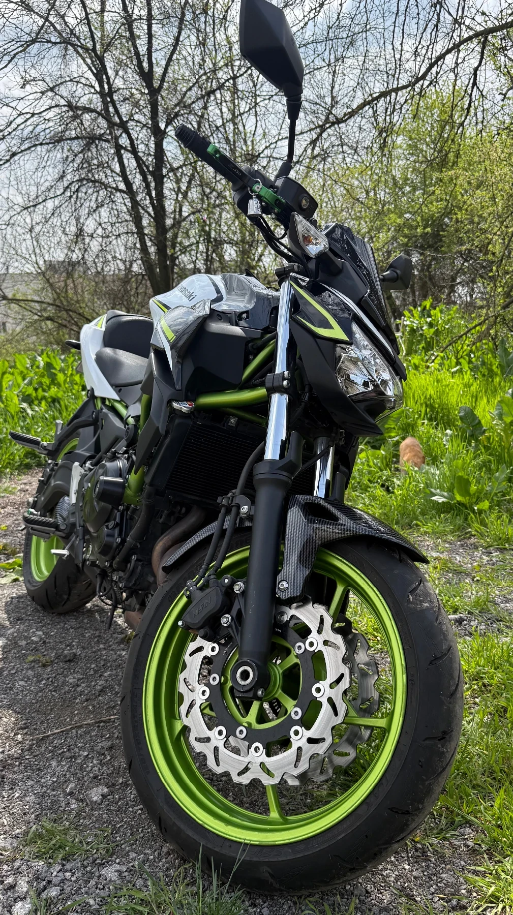 Kawasaki Z, снимка 13 - Мотоциклети и мототехника - 54180300